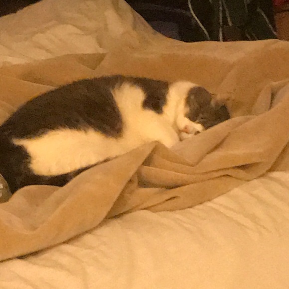 Meet your Posher, Stephanie - Picture 1 of 1